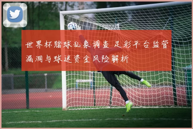 世界杯赌球乱象调查 足彩平台监管漏洞与球迷资金风险解析